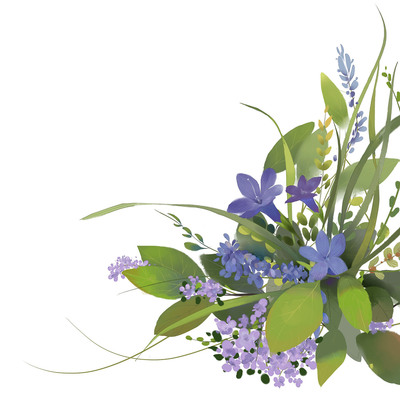 兔子的果園 插畫藝術與花卉包裝的商業(yè)邂逅