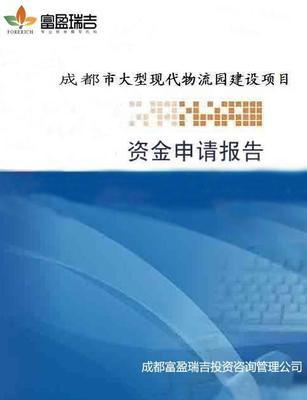 專業解讀 發改委甲級資質代寫政府項目資金申請報告與可行性研究報告的全面指南